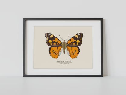 Print Mariposa Colorida