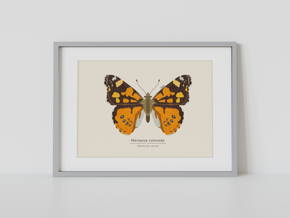 Print Mariposa Colorida