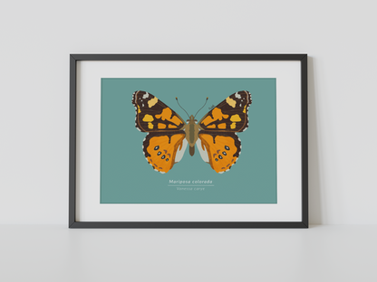 Print Mariposa Colorida