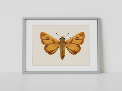 Print Mariposa Hesperia amarilla