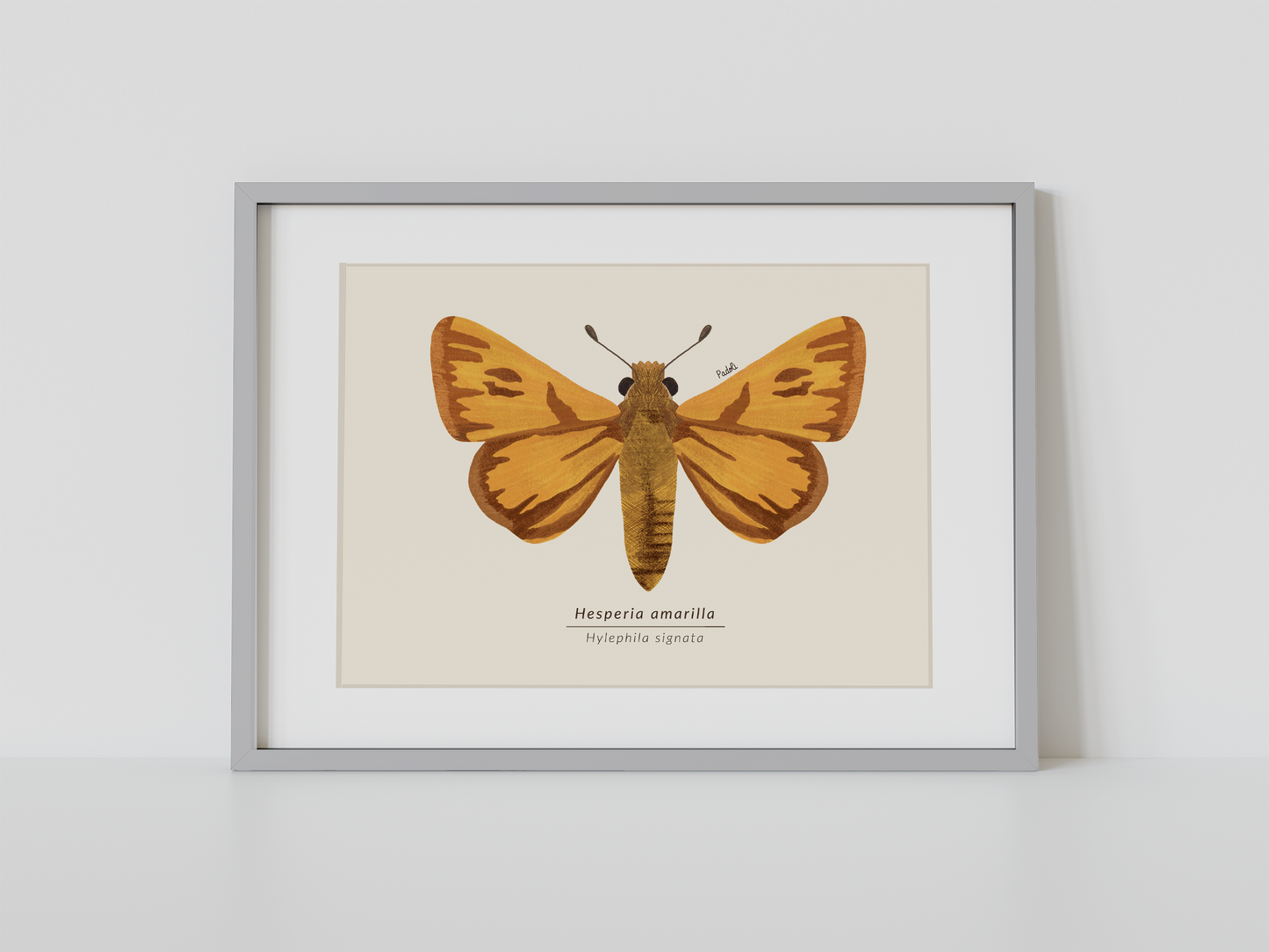 Print Mariposa Hesperia amarilla