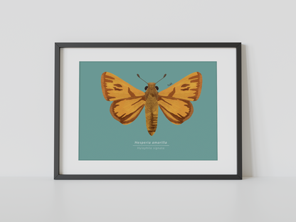 Print Mariposa Hesperia amarilla