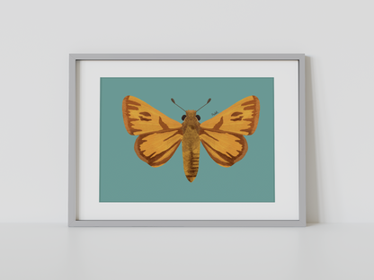 Print Mariposa Hesperia amarilla
