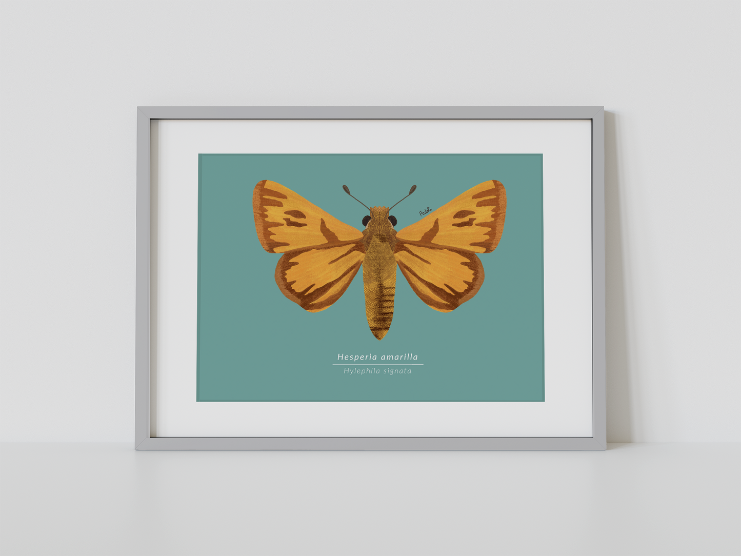 Print Mariposa Hesperia amarilla