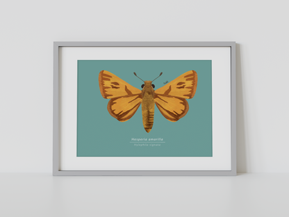 Print Mariposa Hesperia amarilla