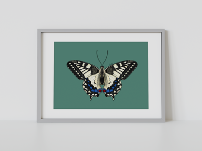 Print mariposa tropical I