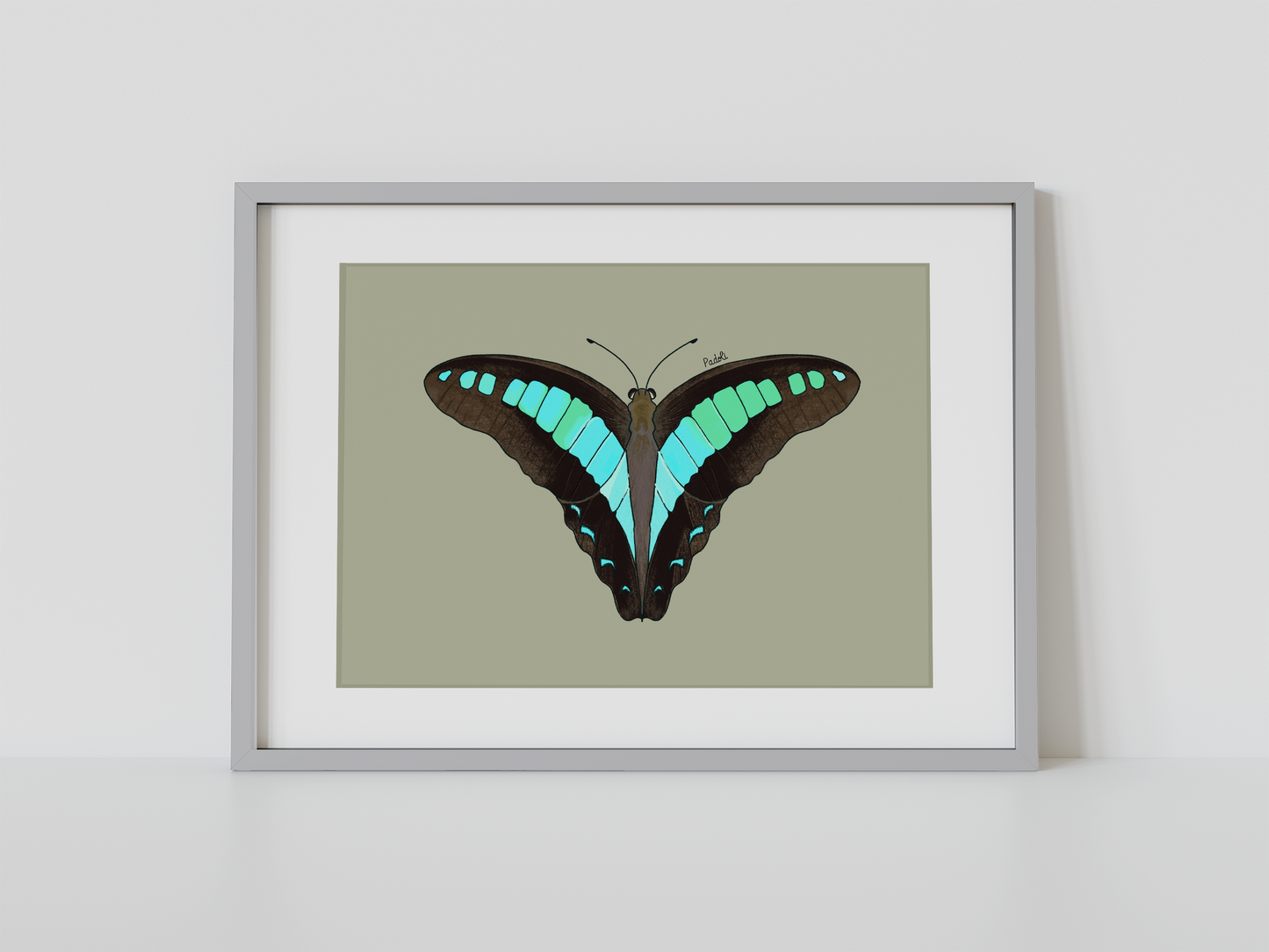 Print mariposa tropical II