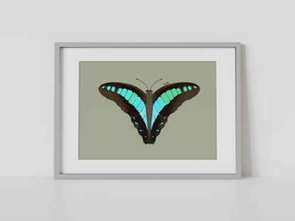 Print mariposa tropical II