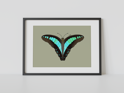 Print mariposa tropical II