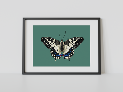 Print mariposa tropical I
