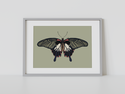 Print mariposa tropical IV