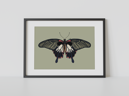 Print mariposa tropical IV