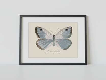 Print Mariposa Plateada