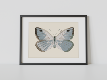 Print Mariposa Plateada