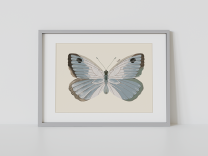 Print Mariposa Plateada