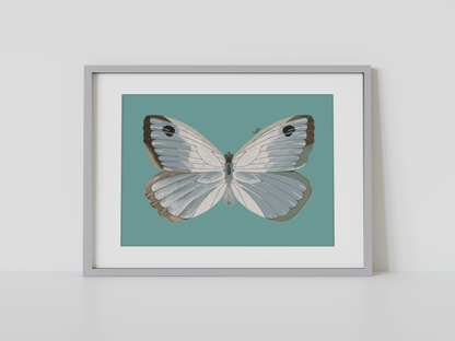 Print Mariposa Plateada