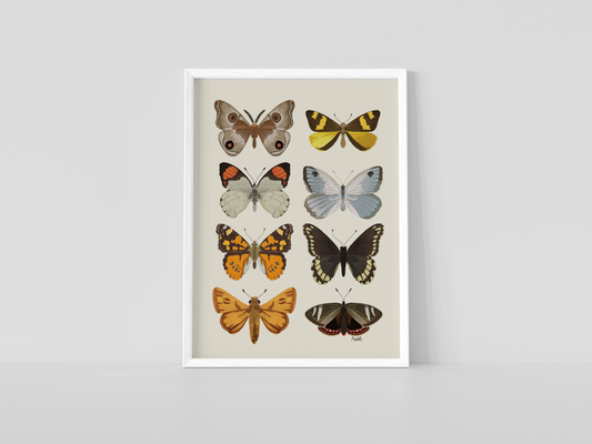 Print Composición de Mariposas Chilenas
