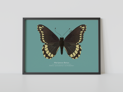 Print Mariposa Batus