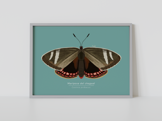 Print Mariposa del Chagual