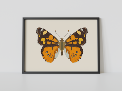 Print Mariposa Colorida