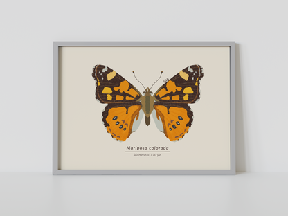 Print Mariposa Colorida