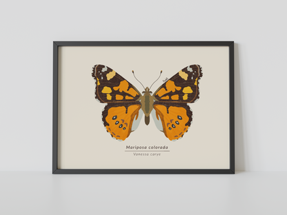 Print Mariposa Colorida