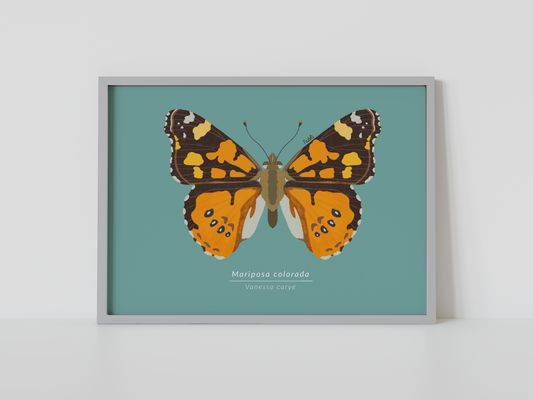 Print Mariposa Colorida