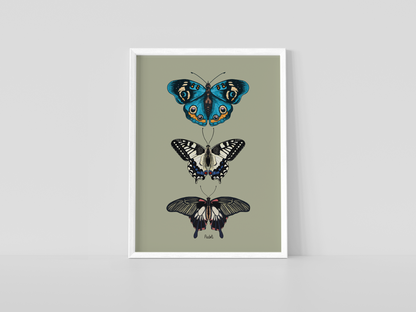 Print composición de mariposas tropicales