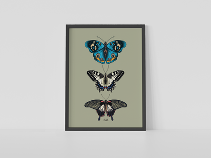Print composición de mariposas tropicales