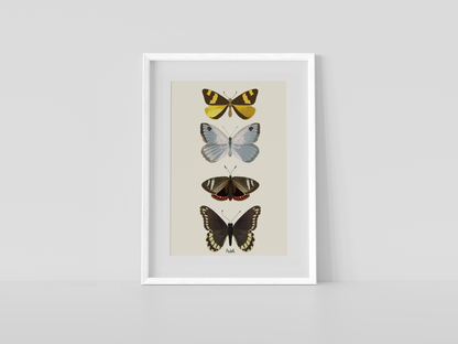 Print composición 4 mariposas II