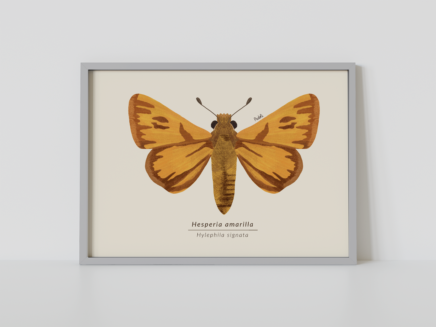 Print Mariposa Hesperia amarilla