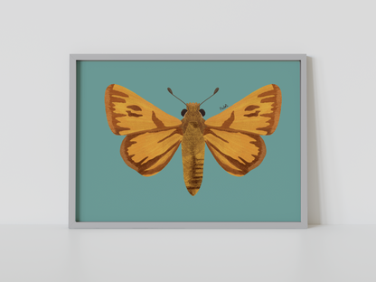 Print Mariposa Hesperia amarilla