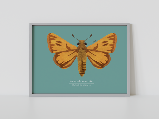Print Mariposa Hesperia amarilla