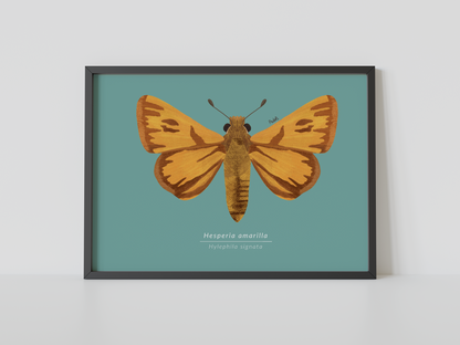 Print Mariposa Hesperia amarilla