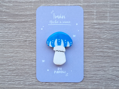Imanes en porcelana fria