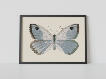 Print Mariposa Plateada