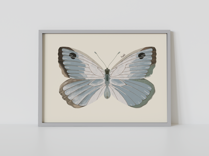 Print Mariposa Plateada