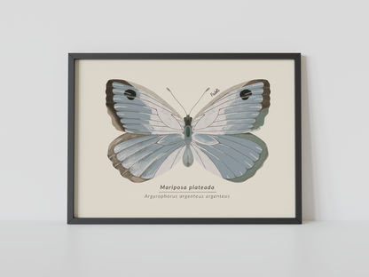 Print Mariposa Plateada