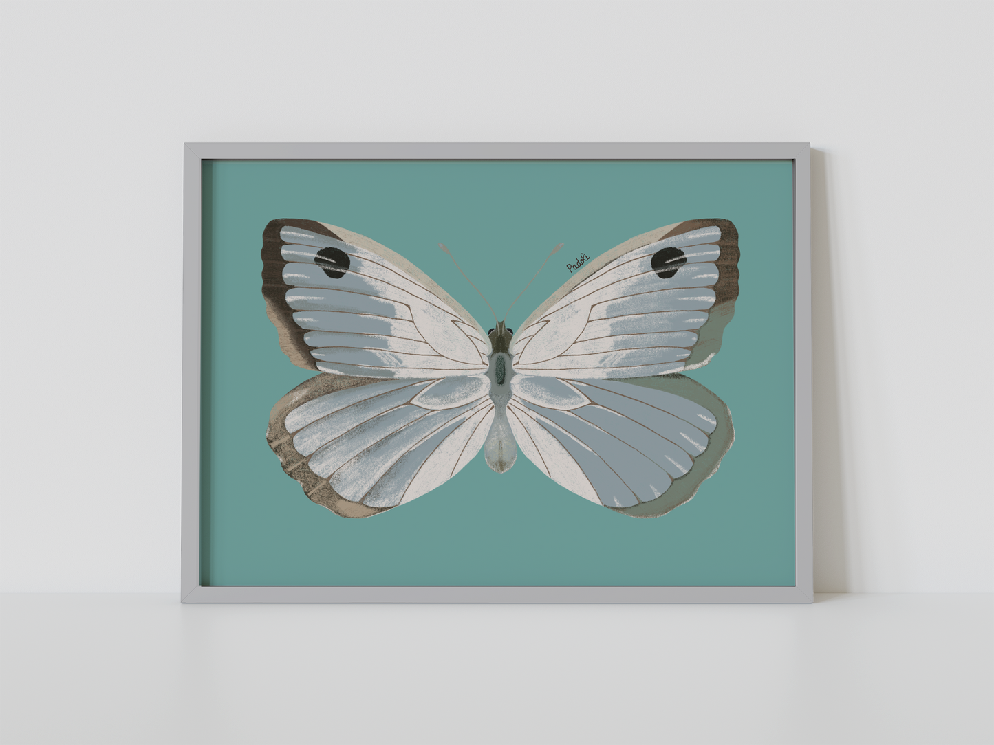 Print Mariposa Plateada