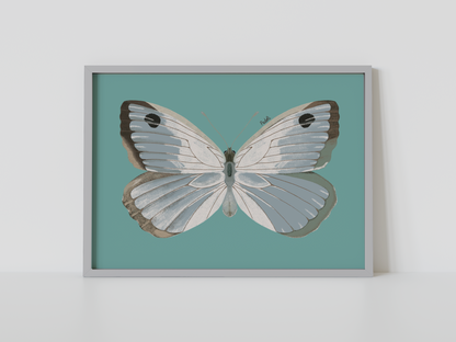 Print Mariposa Plateada