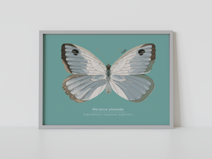 Print Mariposa Plateada