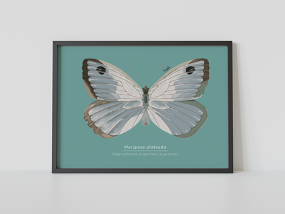 Print Mariposa Plateada